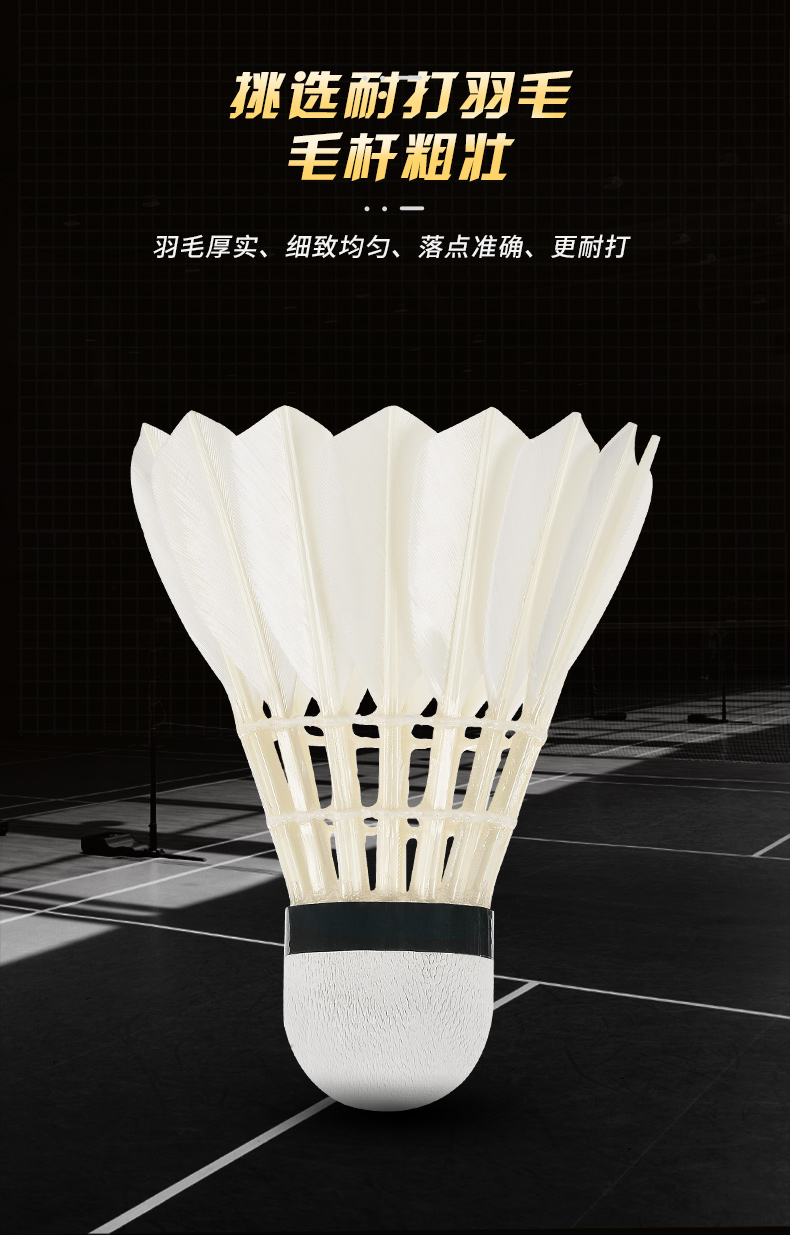New 12PCS Professional Badmint - Badminton Youtube 评论和价格